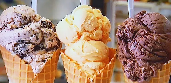 Morningstar ice cream LLC Picture 2