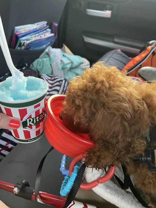 Rita's Italian Ice & Frozen Custard Picture 3