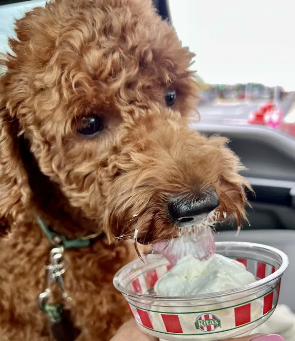 Rita's Italian Ice & Frozen Custard Picture 8
