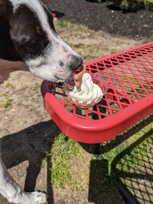 Rita's of Pine Hill NJ Picture 4