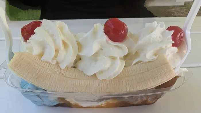 Vanderwende Ice Cream Picture 6