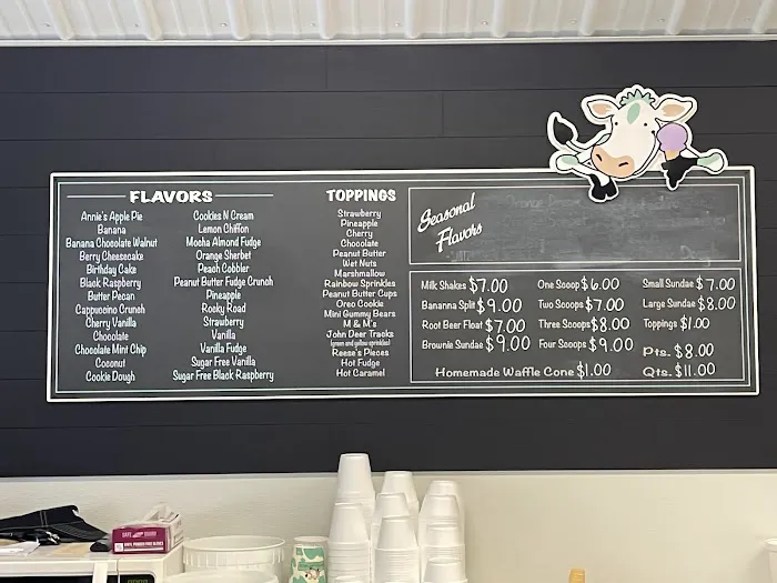 Vanderwende Ice Cream Picture 3