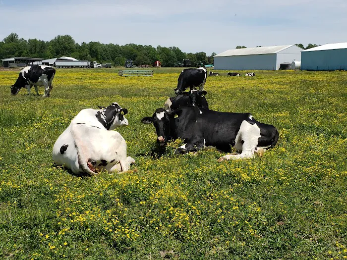Vanderwende Farm Creamery Picture 7