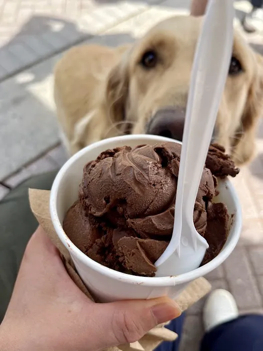 King's Homemade Ice Cream Picture 2