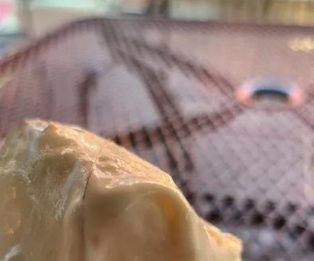 The Mill Creamery