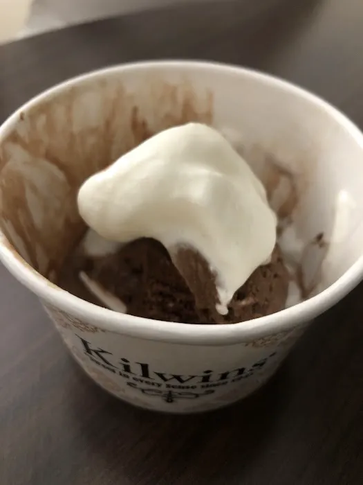 Kilwins Ice Cream - Chocolate - Fudge Picture 7