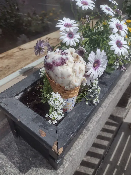 Sweet Peas Ice Cream and Catering Picture 2