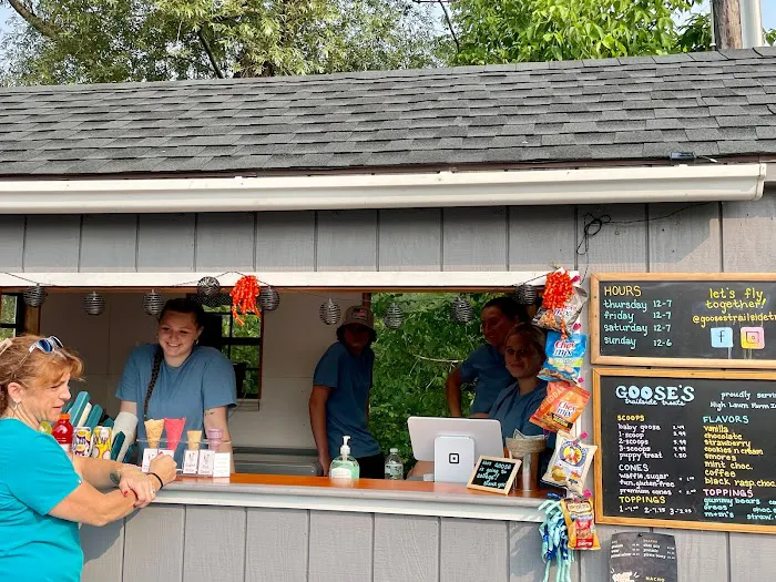 Goose's Trailside Treats Picture 4