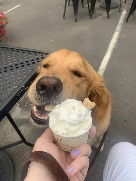 Candlewood Creamery Picture 9