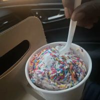 Holiday Ice Cream ico
