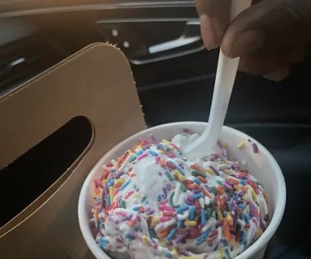 Holiday Ice Cream