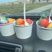 Weaser's Ices ico