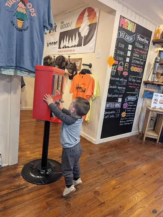 The Woods Ice Cream Shop Picture 8
