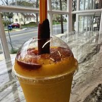 Maya's Mexican Ice Cream & Snacks ico