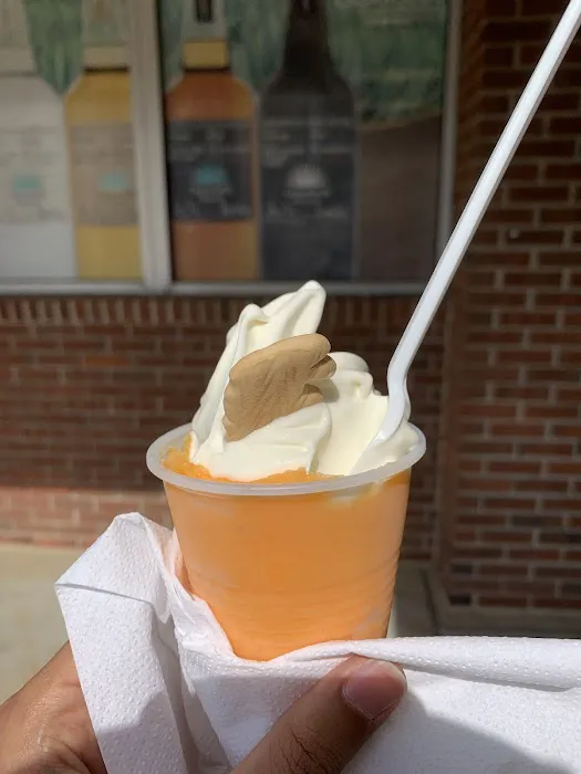 Diane's Italian Water Ices Picture 8