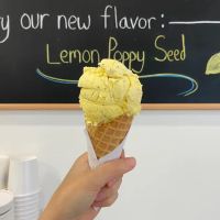 Daniela's Ice Cream ico