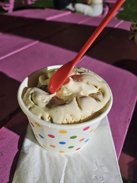 Cranberry Junction Homemade Ice Cream Picture 3