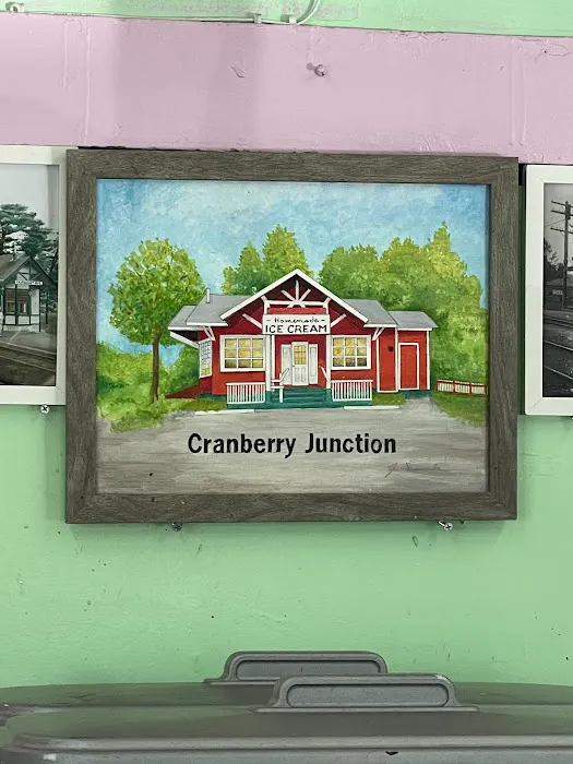 Cranberry Junction Homemade Ice Cream Picture 9