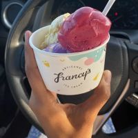 Francy's Artisanal Ice Cream ico