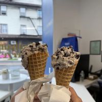 Gotham Freeze ico