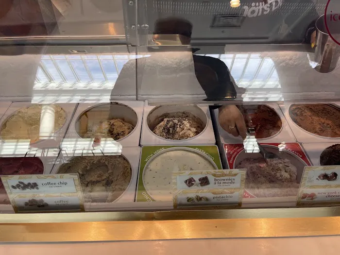 Häagen-Dazs Picture 4