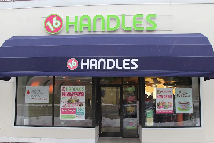 16 Handles Picture 5