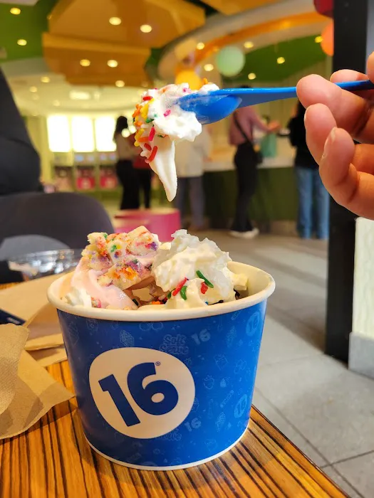 16 Handles Picture 2
