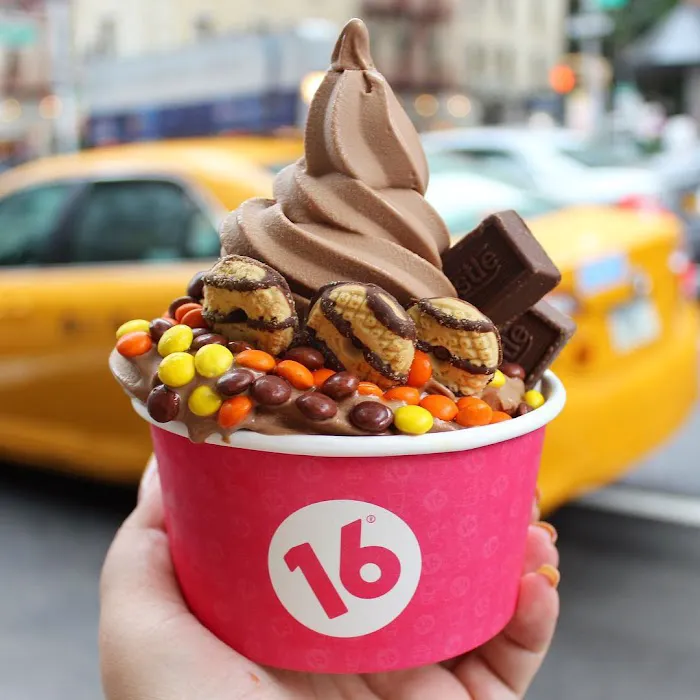 16 Handles Picture 8