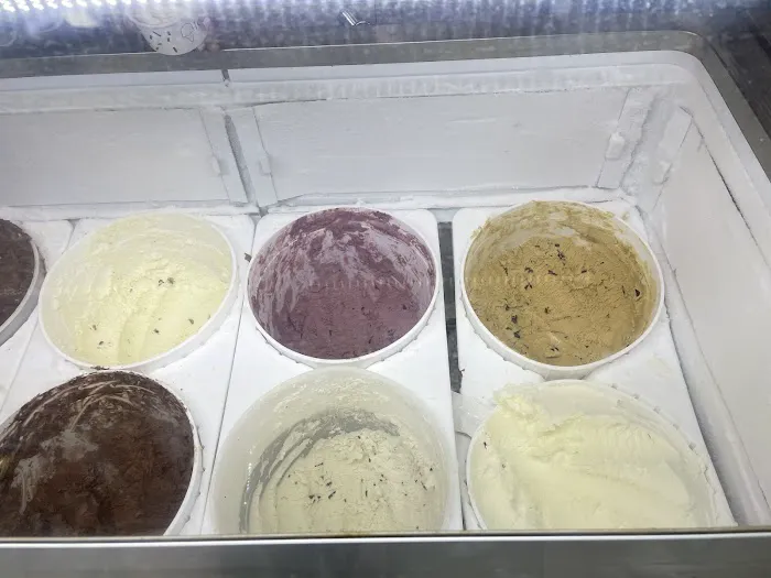 Ice Cream Social Picture 5