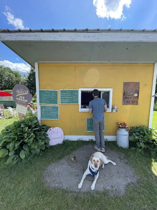 Wilcox Ice Cream Stand Picture 4
