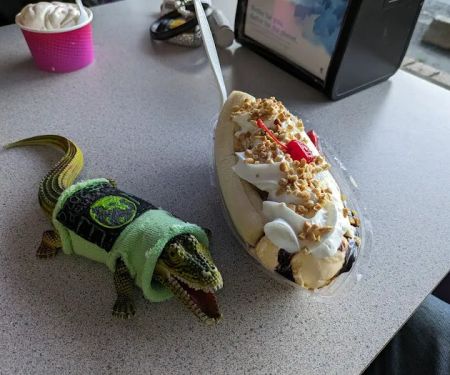 Triple Scoop