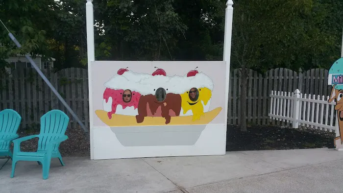 Lloyd's Country Custard Picture 6