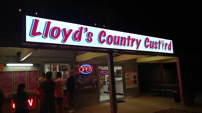 Lloyd's Country Custard Picture 3