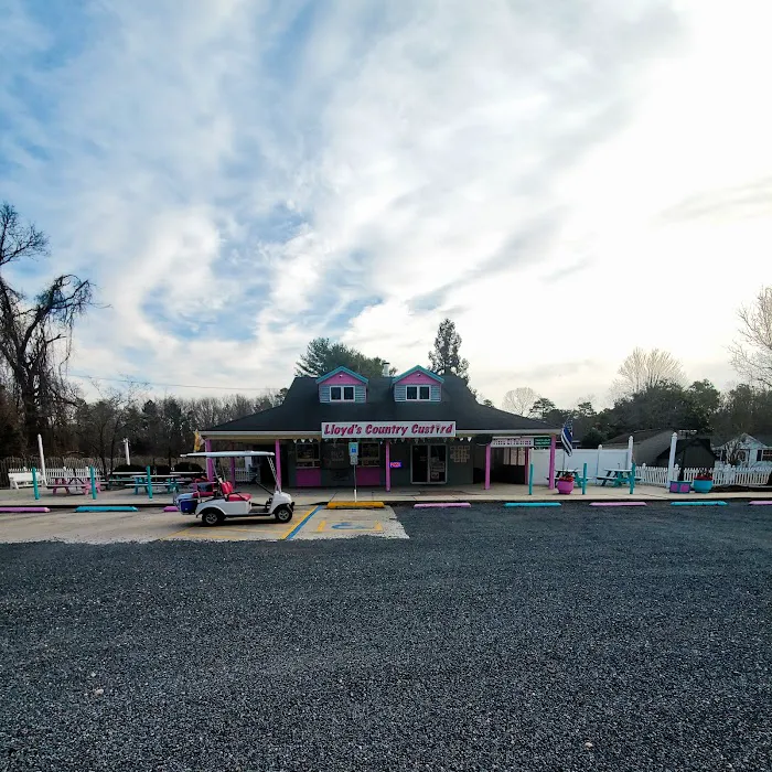 Lloyd's Country Custard Picture 10