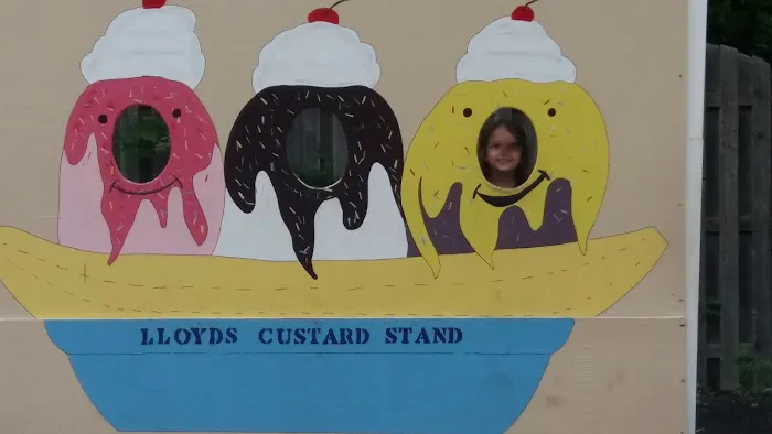 Lloyd's Country Custard Picture 1