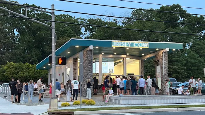 Jersey Cow Ice Cream Picture 3
