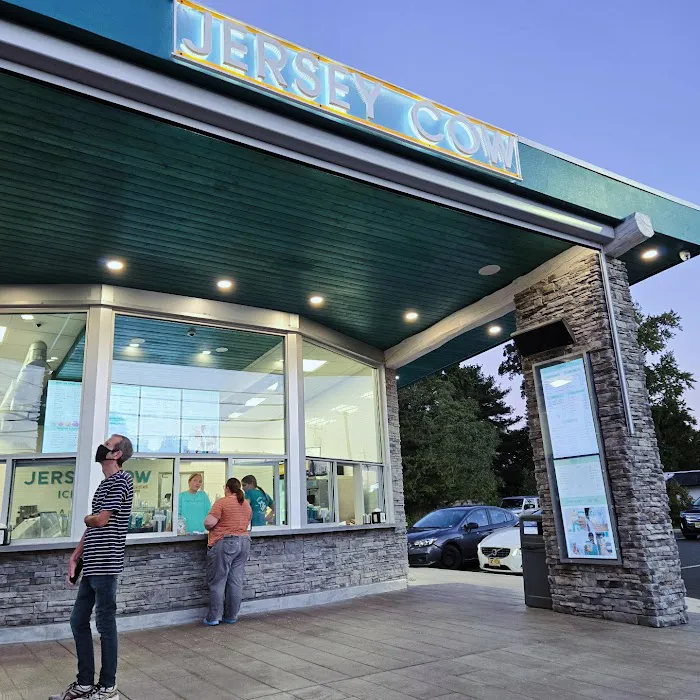 Jersey Cow Ice Cream Picture 7