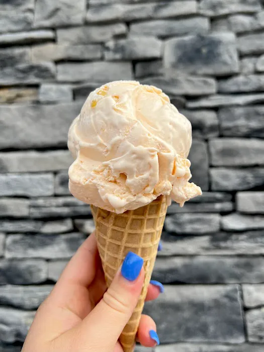 Jersey Cow Ice Cream Picture 8
