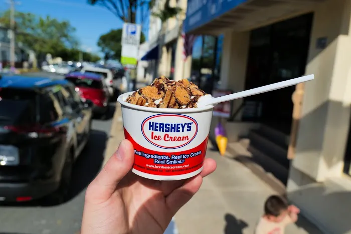 Sammy's Ice Cream Picture 5