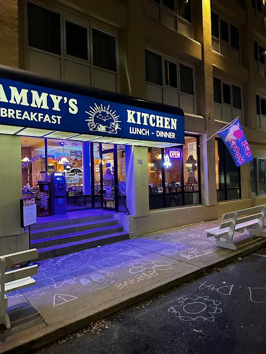 Sammy's Ice Cream Picture 8