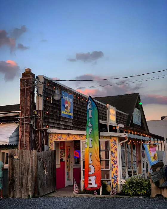 Bonkey's Ice Cream & Snoballs Picture 1