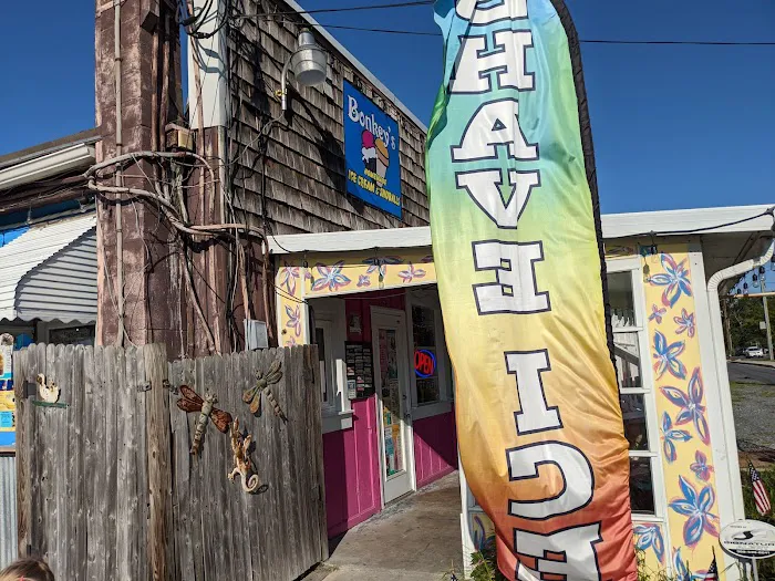 Bonkey's Ice Cream & Snoballs Picture 2