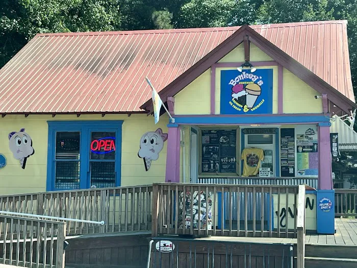 Bonkey's Ice Cream & Snoballs Picture 1