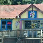 Bonkey's Ice Cream & Snoballs
