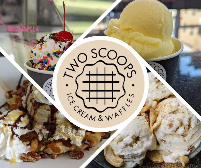 Two Scoops Ice Cream & Waffles Picture 6