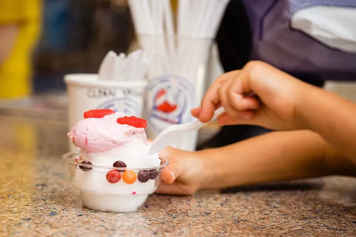 Gofer Ice Cream Wilton Picture 3