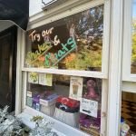 Scoops Ice Cream & Candy Shop