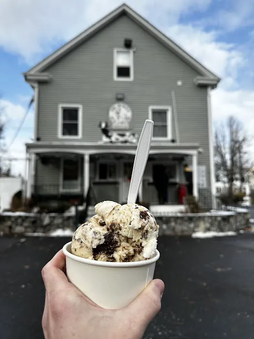 Dr. Mike's Ice Cream Shop Picture 4