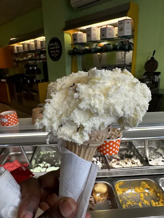 Gelatissimo Artisan Gelato Picture 3