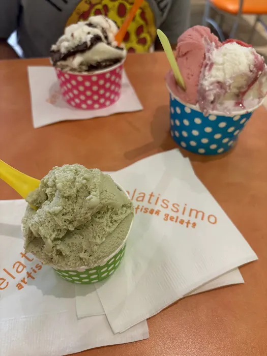 Gelatissimo Artisan Gelato Picture 6